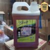 Bloop Carbolic Pine 5 Kg (Kamar Mandi Dll)