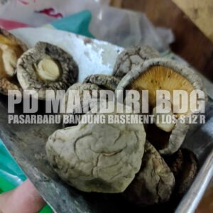 Jamur Shitake Kering