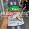 Knorr Oyster 1 Kg - Image 2