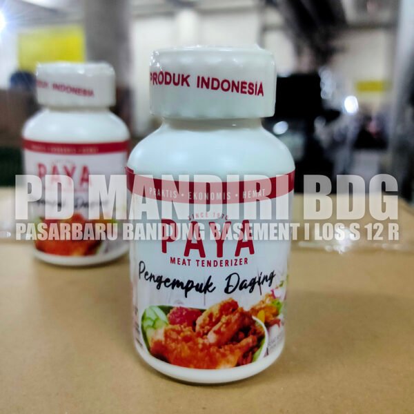 Paya Pengempuk Daging 70 Gr - Image 5